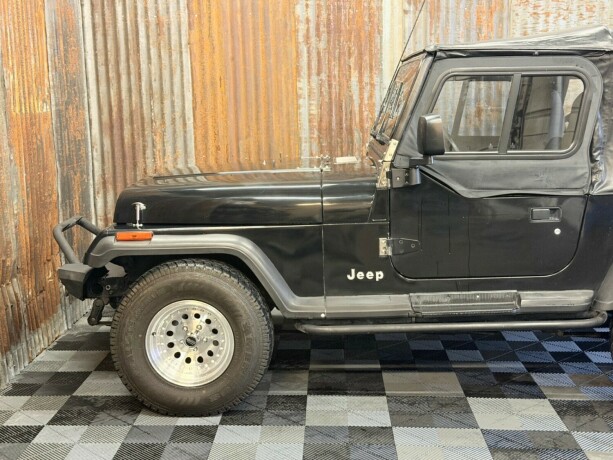 jeep-wrangler-bensin-1993-big-10