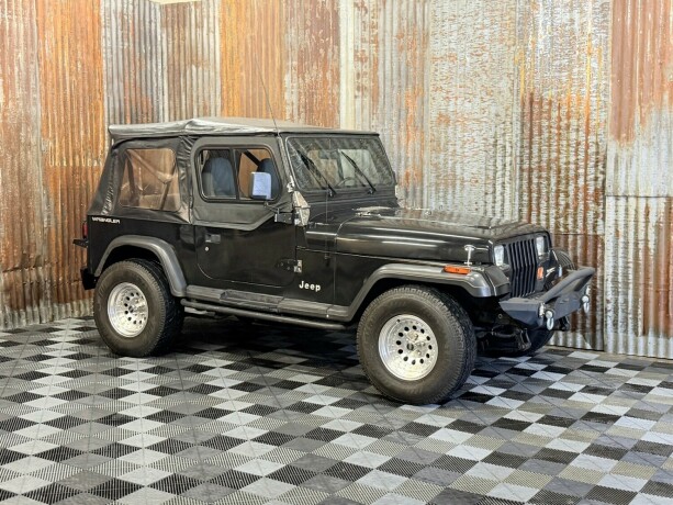 jeep-wrangler-bensin-1993-big-1