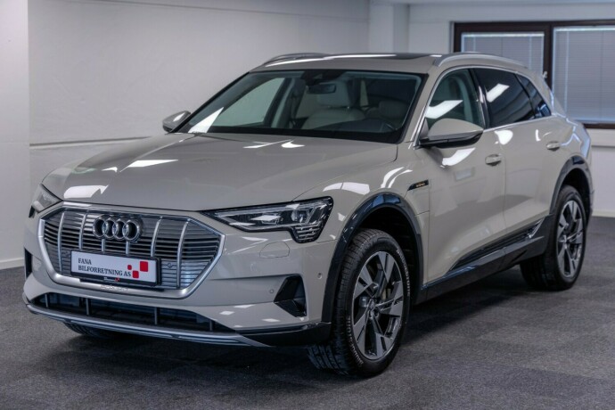 audi-e-tron-elektrisitet-2020-big-0