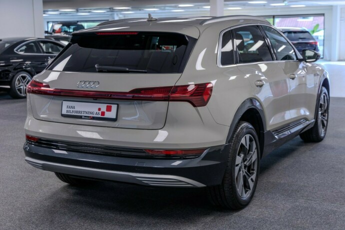 audi-e-tron-elektrisitet-2020-big-2