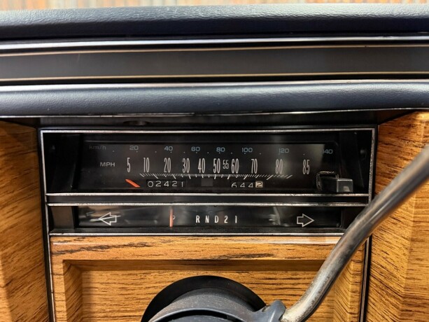 cadillac-fleetwood-brougham-bensin-1981-big-24