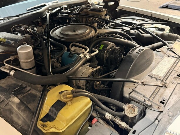 cadillac-fleetwood-brougham-bensin-1981-big-41