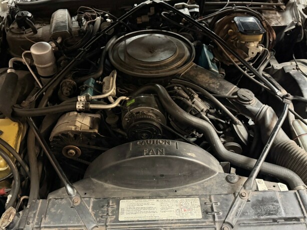 cadillac-fleetwood-brougham-bensin-1981-big-39