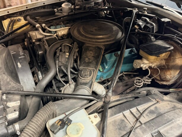 cadillac-fleetwood-brougham-bensin-1981-big-40