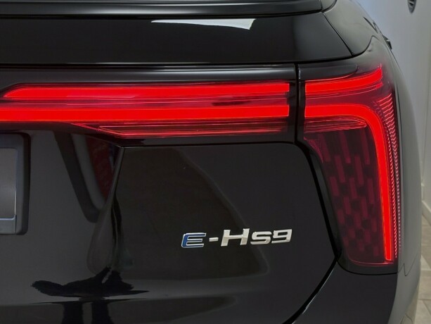 hongqi-e-hs9-elektrisitet-2022-big-5