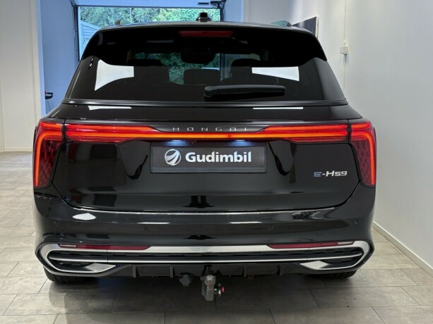 hongqi-e-hs9-elektrisitet-2022-big-6