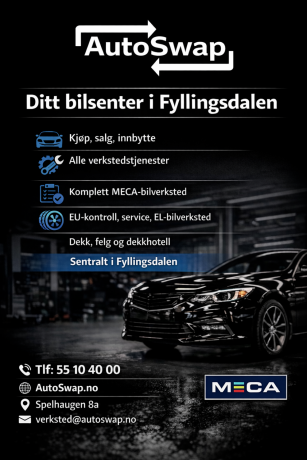 tesla-model-3-elektrisitet-2021-big-33