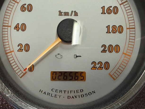 harley-davidson-fat-boy-bensin-2002-big-23
