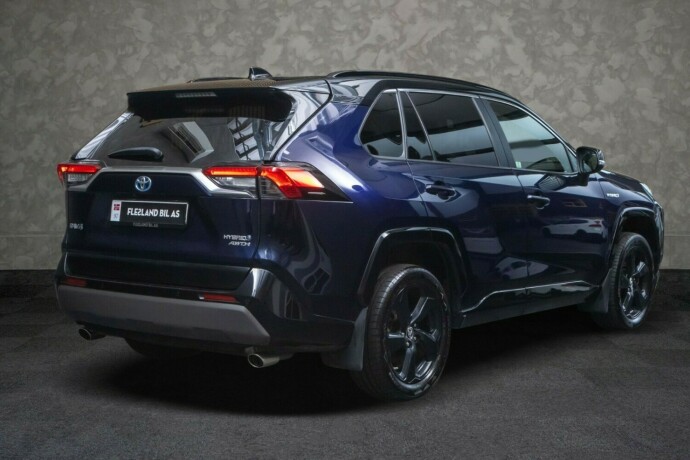 toyota-rav4-elektrisitetbensin-2019-big-6