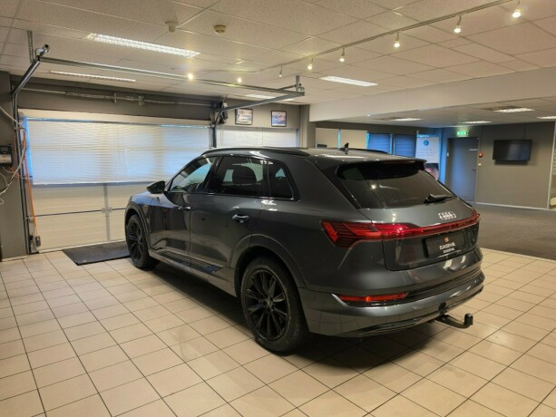 audi-e-tron-elektrisitet-2020-big-6