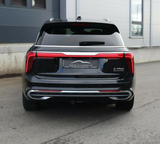 hongqi-e-hs9-elektrisitet-2022-big-5