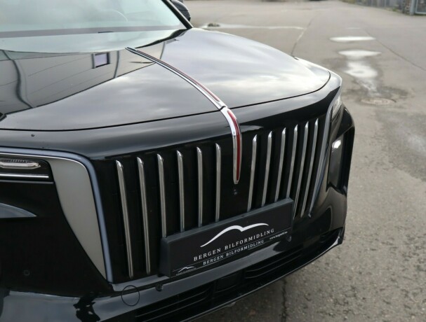 hongqi-e-hs9-elektrisitet-2022-big-8