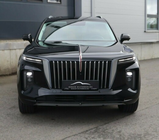 hongqi-e-hs9-elektrisitet-2022-big-4