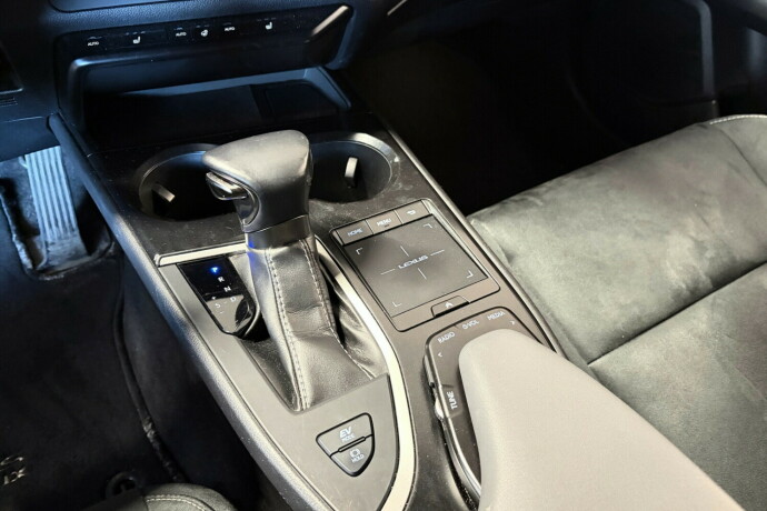 lexus-ux250h-elektrisitetbensin-2019-big-19