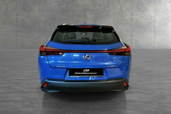 lexus-ux250h-elektrisitetbensin-2019-big-2