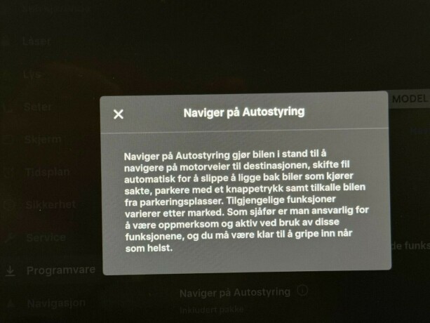 tesla-model-3-elektrisitet-2021-big-21