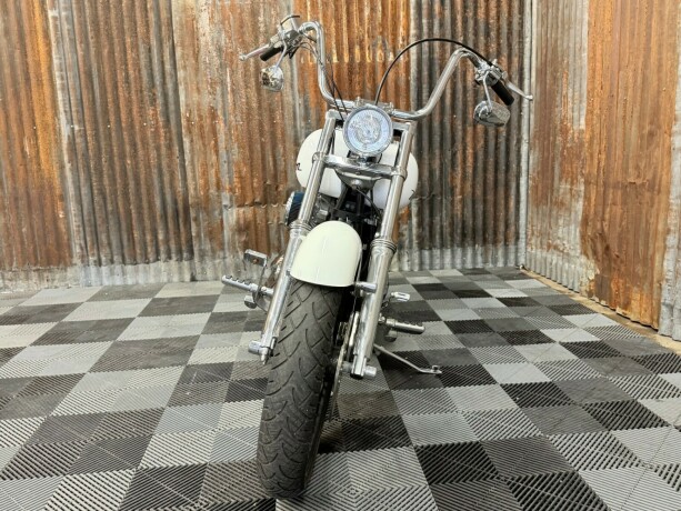 harley-davidson-soft-tail-custom-bensin-1998-big-10