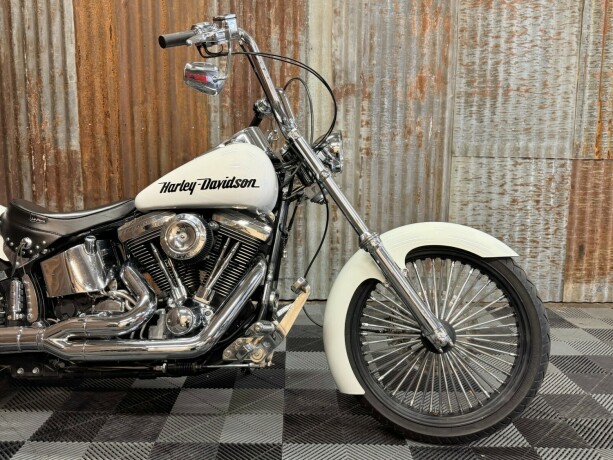harley-davidson-soft-tail-custom-bensin-1998-big-3