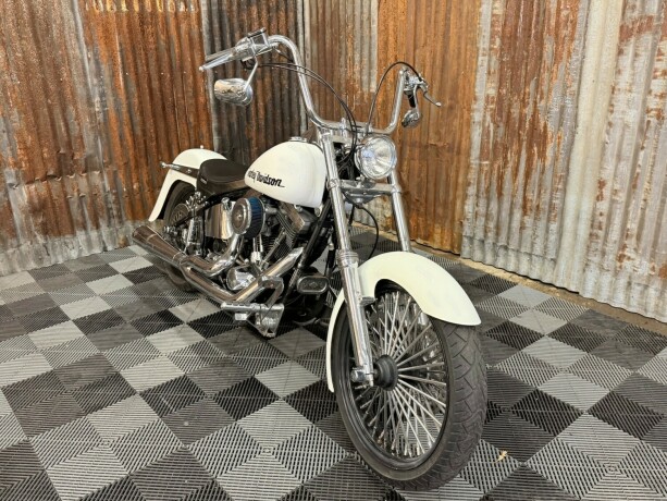 harley-davidson-soft-tail-custom-bensin-1998-big-9