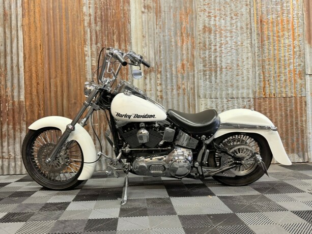 harley-davidson-soft-tail-custom-bensin-1998-big-11