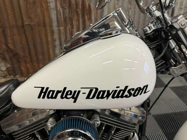 harley-davidson-soft-tail-custom-bensin-1998-big-8