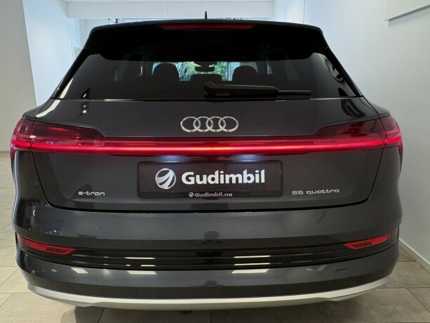 audi-e-tron-elektrisitet-2020-big-5