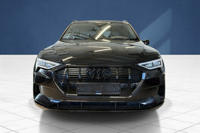 audi-e-tron-elektrisitet-2020-big-7