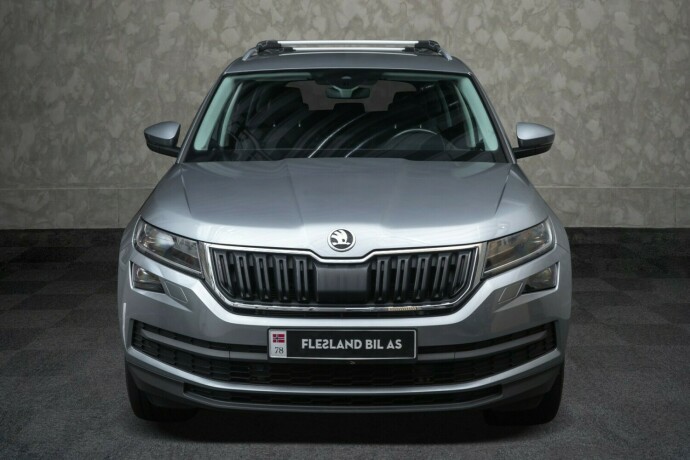 skoda-kodiaq-diesel-2020-big-5