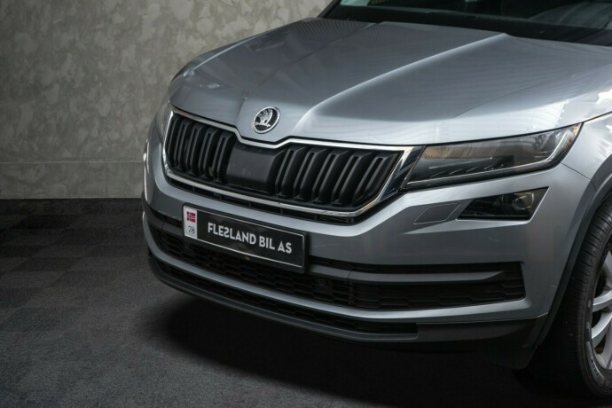 skoda-kodiaq-diesel-2020-big-2