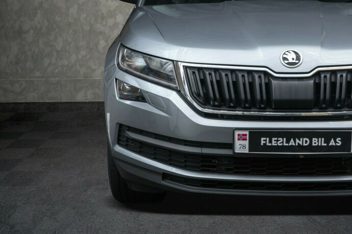 skoda-kodiaq-diesel-2020-big-6