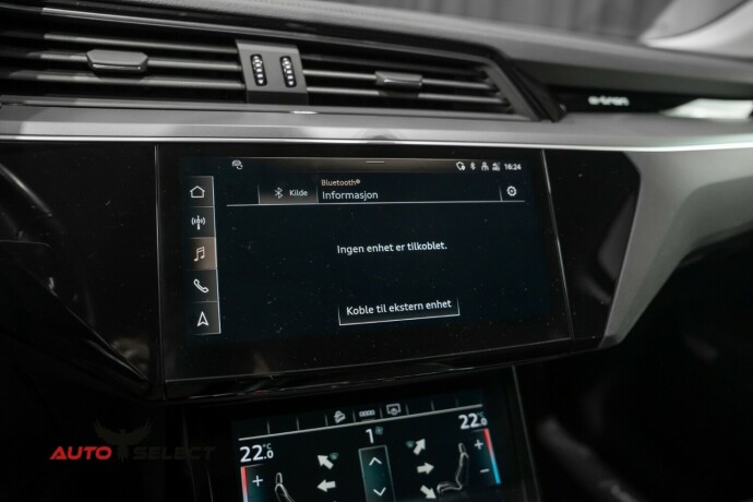 audi-e-tron-elektrisitet-2021-big-37