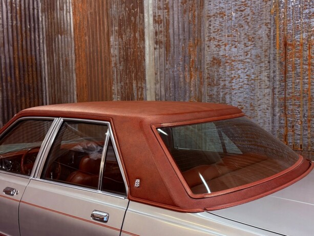 dodge-andre-bensin-1979-big-14