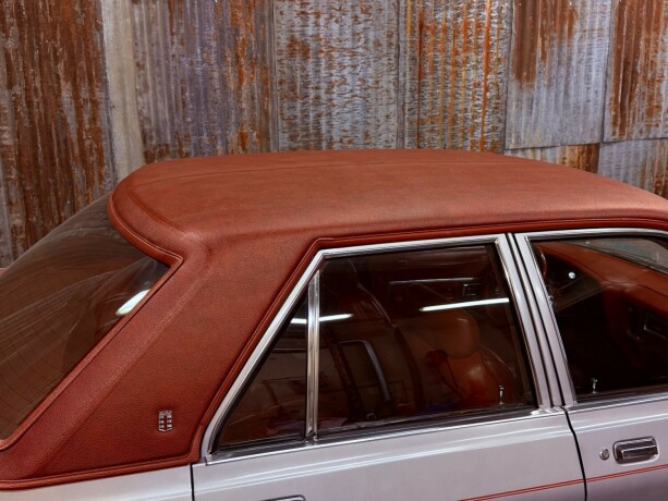 dodge-andre-bensin-1979-big-5