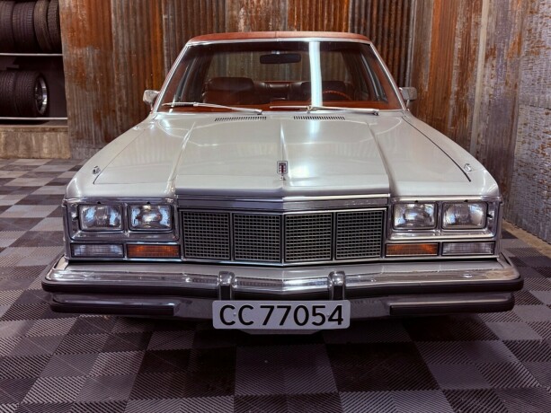 dodge-andre-bensin-1979-big-7