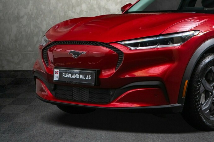 ford-mustang-mach-e-elektrisitet-2021-big-3