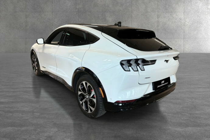 ford-mustang-mach-e-elektrisitet-2021-big-3