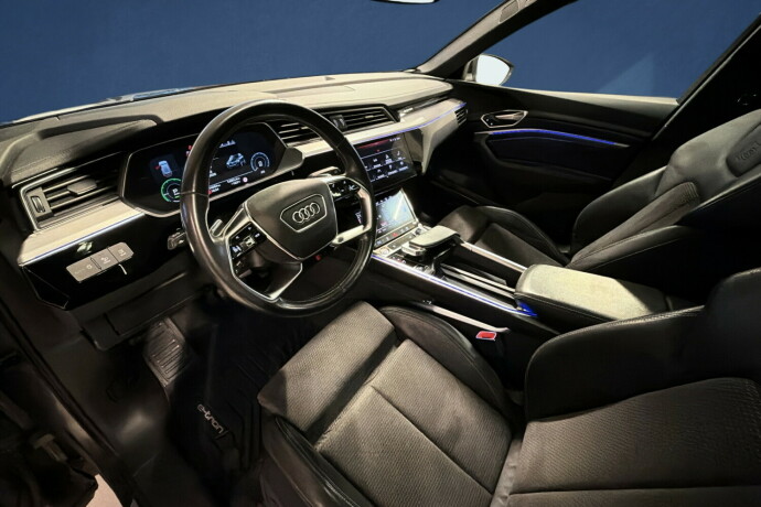 audi-e-tron-elektrisitet-2020-big-8