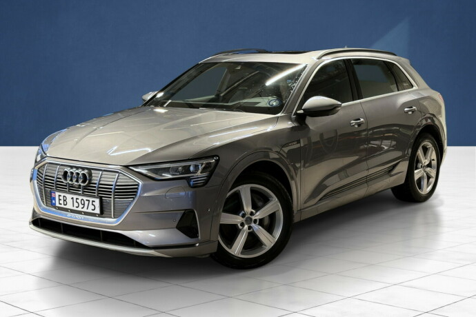 audi-e-tron-elektrisitet-2020-big-6