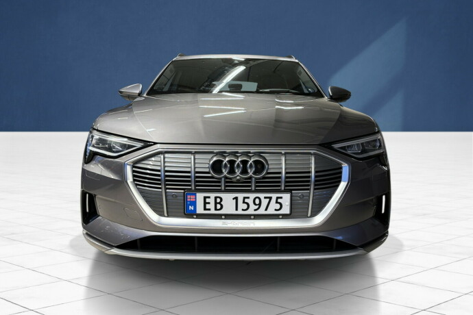 audi-e-tron-elektrisitet-2020-big-7