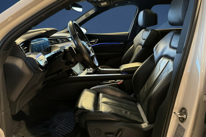 audi-e-tron-elektrisitet-2020-big-8
