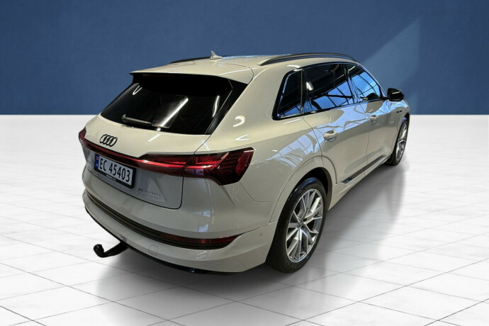audi-e-tron-elektrisitet-2020-big-2