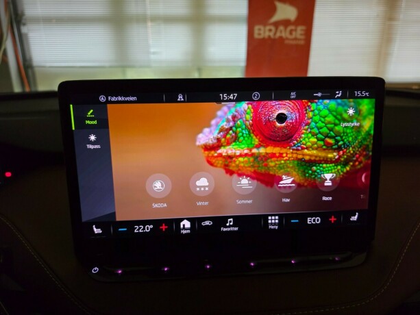 skoda-enyaq-elektrisitet-2021-big-38