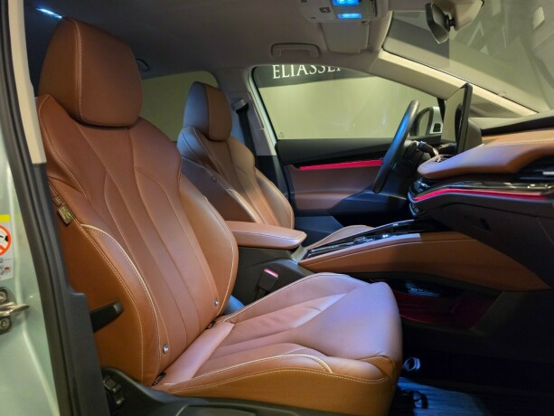 skoda-enyaq-elektrisitet-2021-big-13