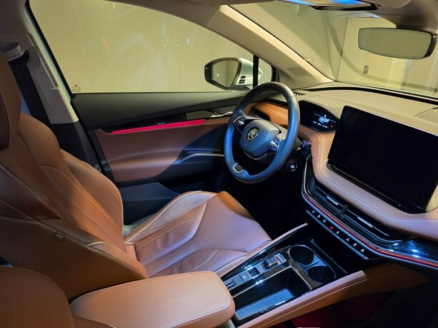 skoda-enyaq-elektrisitet-2021-big-15