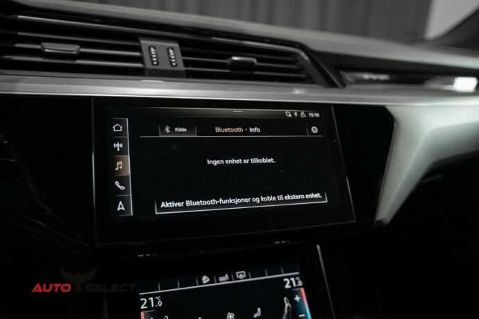 audi-e-tron-elektrisitet-2020-big-39