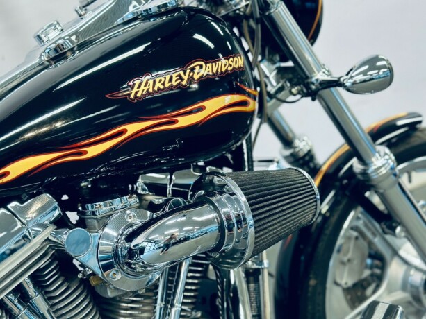 harley-davidson-fxdwg3-bensin-2002-big-12