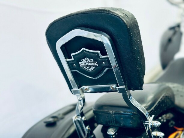 harley-davidson-fxdwg3-bensin-2002-big-17