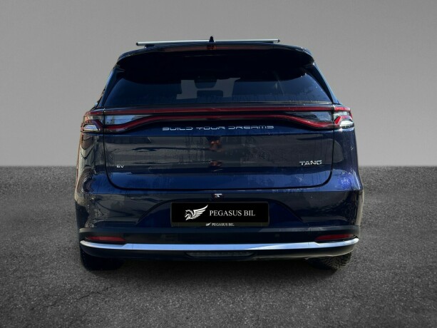 byd-tang-elektrisitet-2022-big-4