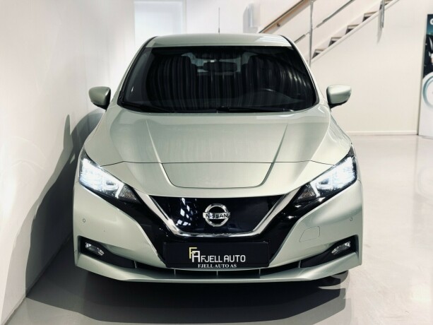 nissan-leaf-elektrisitet-2018-big-3