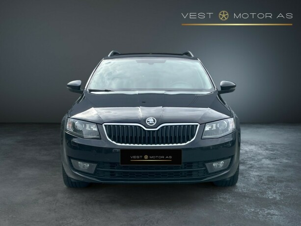 skoda-octavia-diesel-2014-big-1